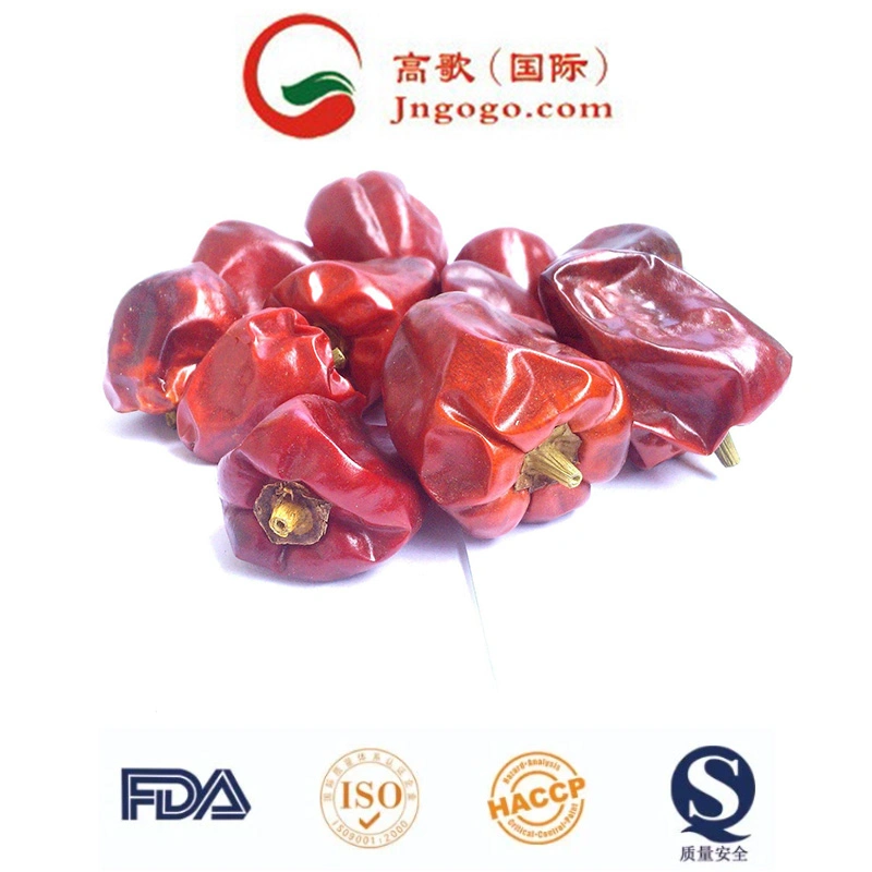 Dry Red Natural Yidu Chaotian Tianying Chili