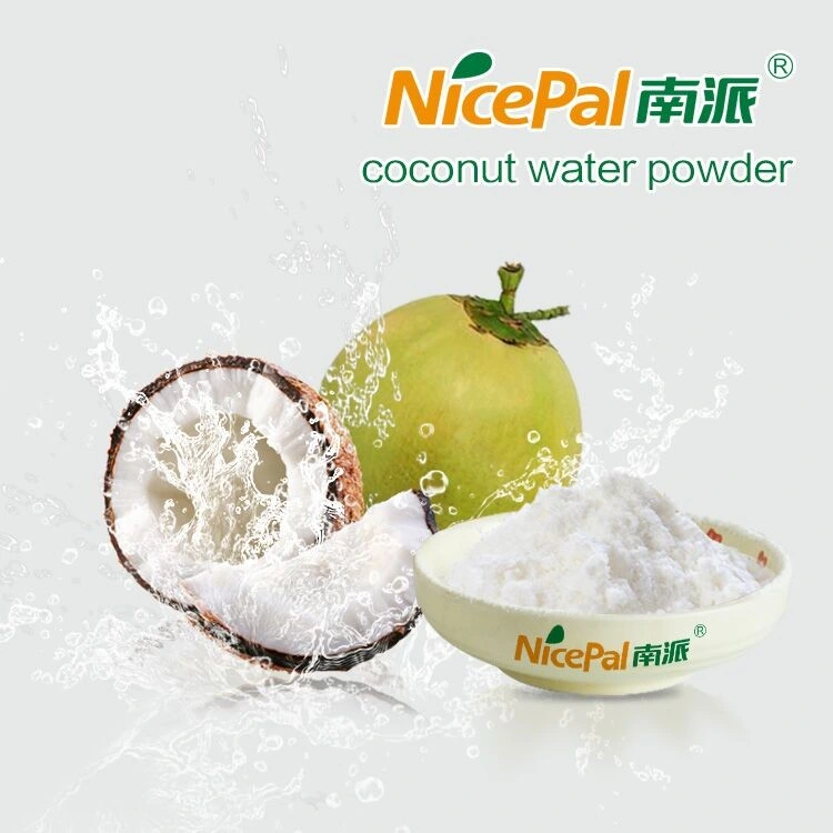 ISO Certified Dried Coconut Water Powder with Free Samples