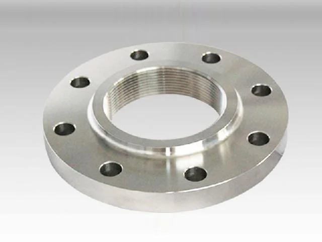 Carbon / Stainless Steel / Alloy Steel Flanges