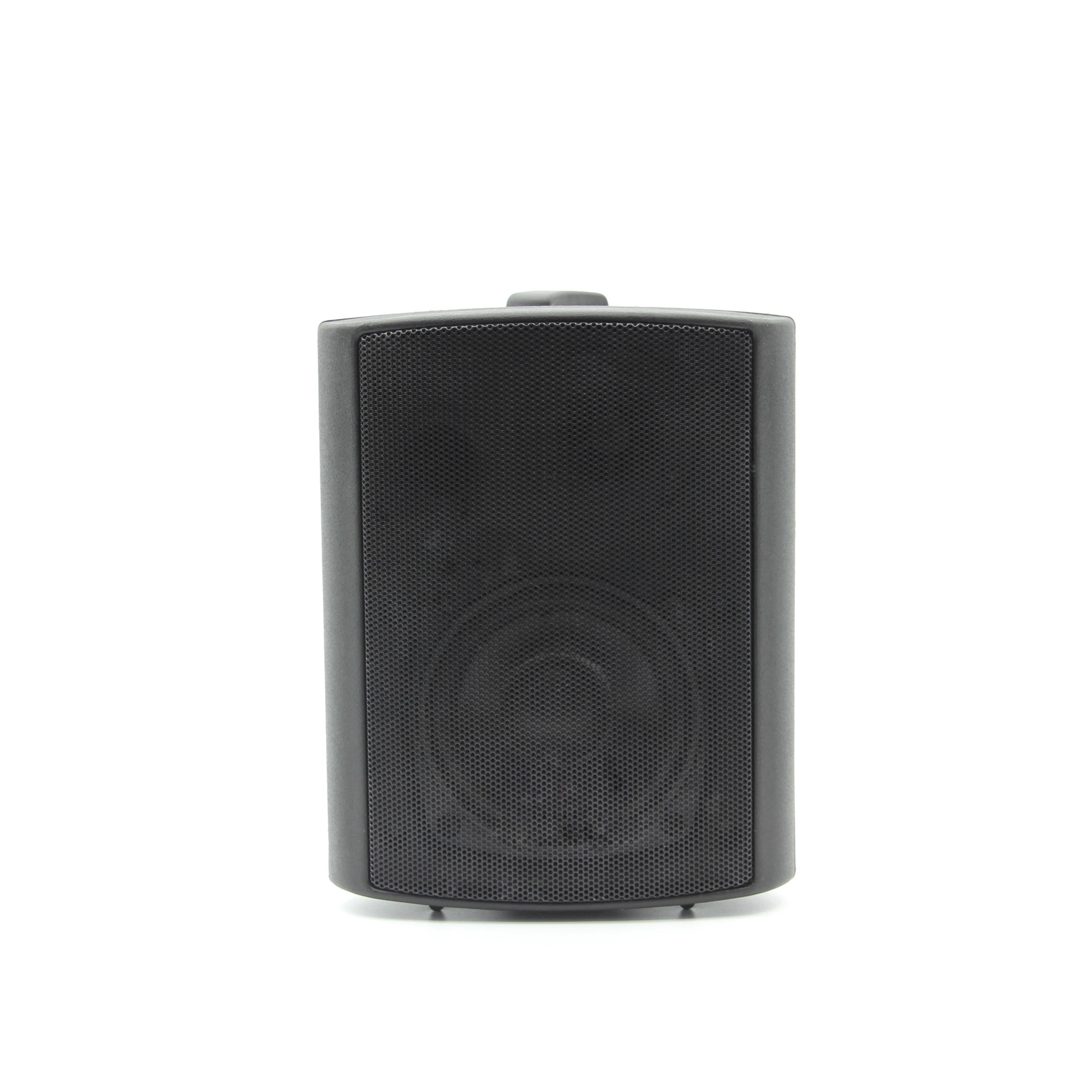 Professional High Fedility Black 100V Wall Speaker