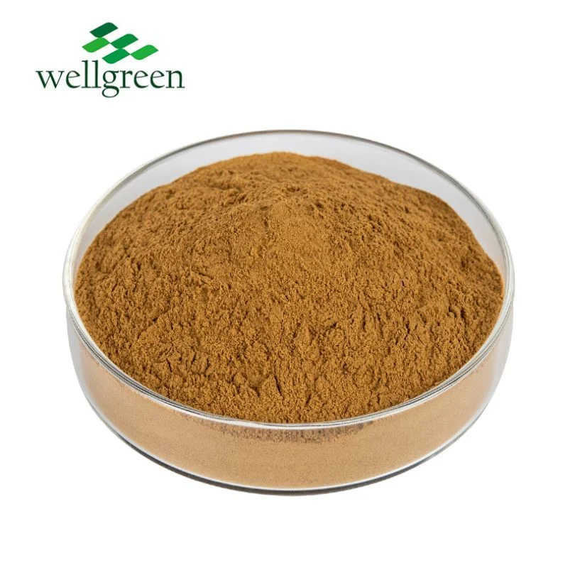 Wellgreen Free Sample 20: 1 Passion Flower Extract Powder Passiflora Incarnata Passion Flower P. E