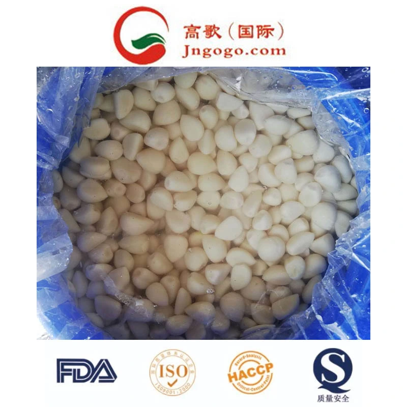 High quality/High cost performance  Garlic Cloves in Brine