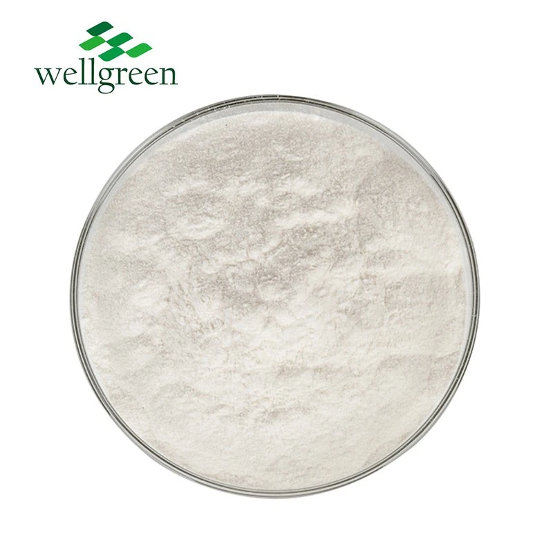 Bulk Free Sample Low Price Sale Coconut Milk Powder Natural Delicious Coconut Powder