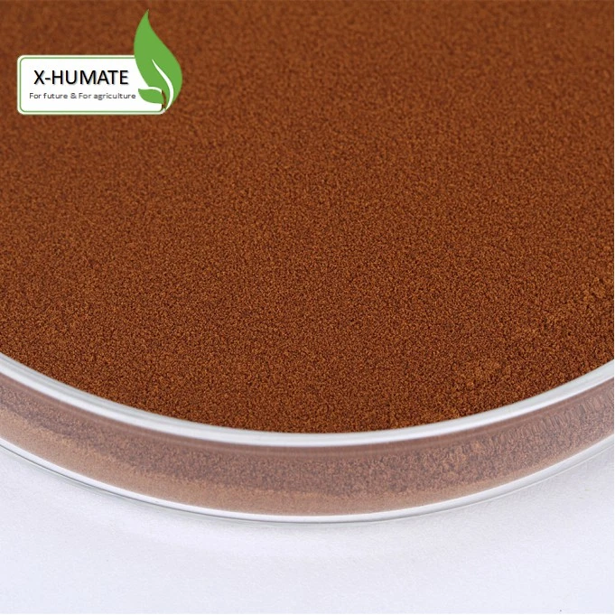 Factory Supply Fulvic Acid 90% Powder Organic Fertilizer