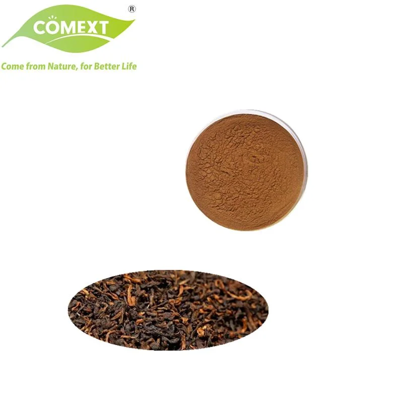 Comext 100% natural o Melhor Preço em pó Puer Chá Puer Natural Extrato de Chá 10: 1