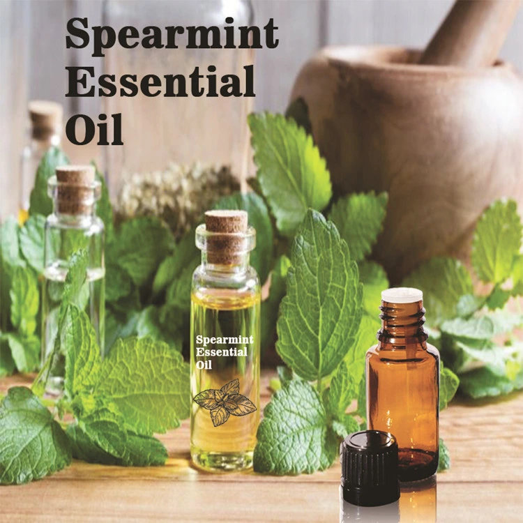 تقطير مضاد للشيخوخة Peppermint تدليك مستحضرات التجميل عطور مصنع استخراج المواد الكيميائية الأساسية الزيت