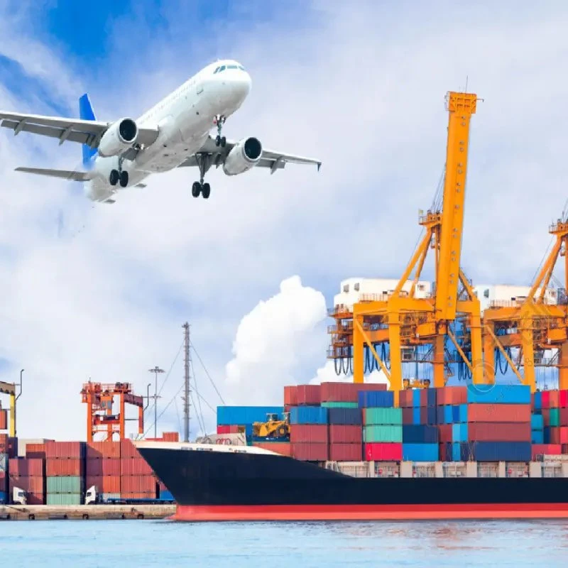 Door to Door Sea/Air Shipping Agent LCL From China to USA/Germany