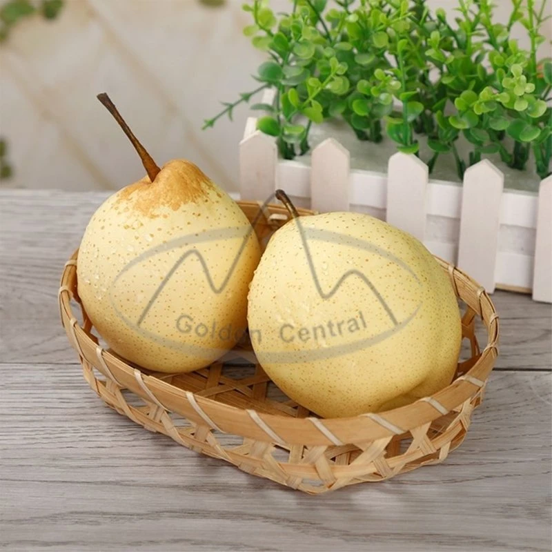 Factory Offer Sweet Fresh Fruit Ya Pears Gold Pears with Competitive Price