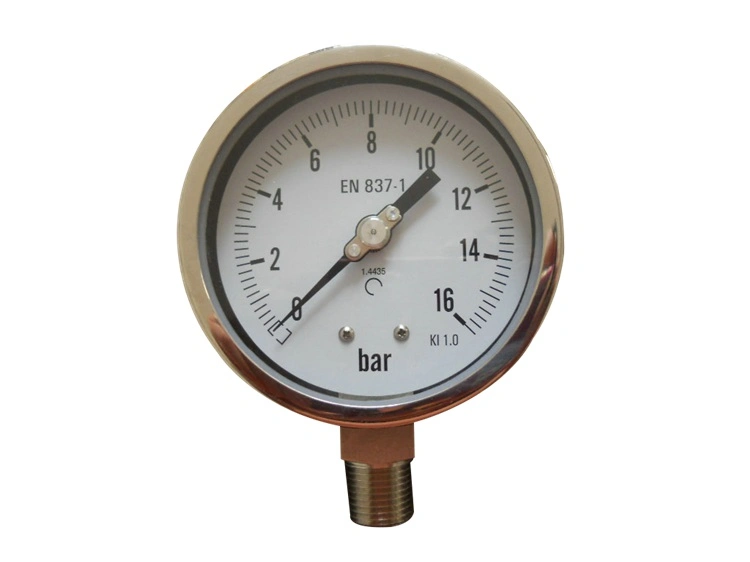 Y-60 Silicone Oil Filled 304 316 Stainless Steel Ammonia Pressure Gauge