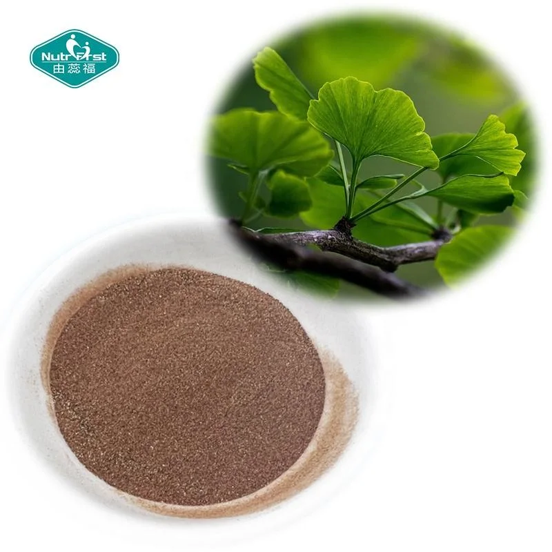 Профессиональная фабрика Ginkgo biloba Leaf Powder Вода растворимая для Brain&amp;Blood Здоровья