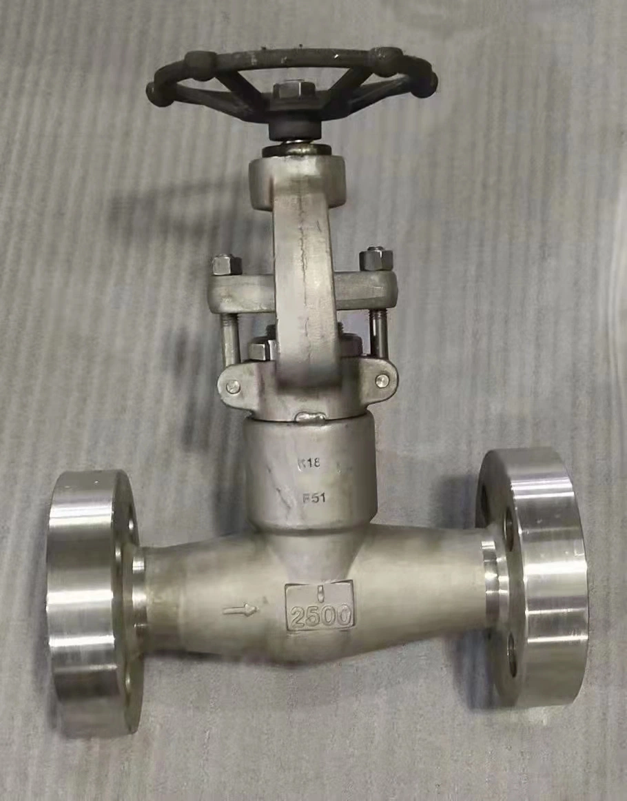 Forged Steel Globe Valve 1" 150lb Lf2 Body