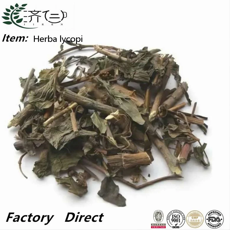 Herb Chinês ZE LAN Herbal Medicina Herba Lycopi por Atacado