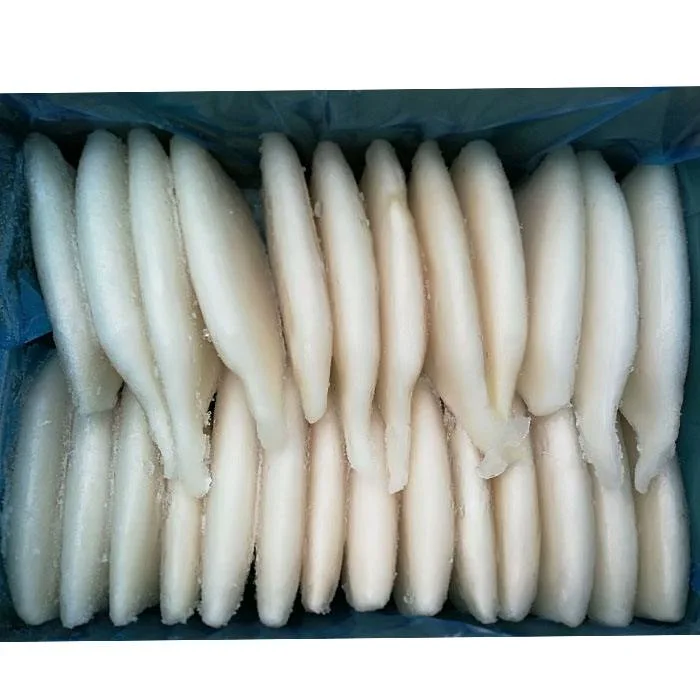 Frozen Iiiex Giant Squid with Vetetable String High Quality Health Seafood Lllex Giant Squid Product Japanese Squid