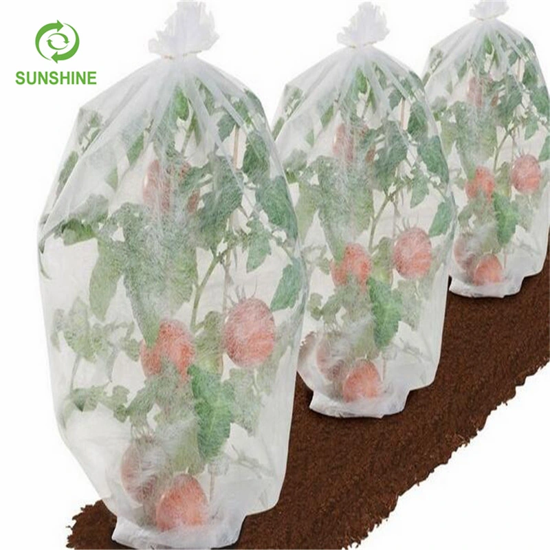 Eco-Friendly 100% PP Nonwoven Fabric Roll Agriculture Cover Fruit Bag Protection Cover