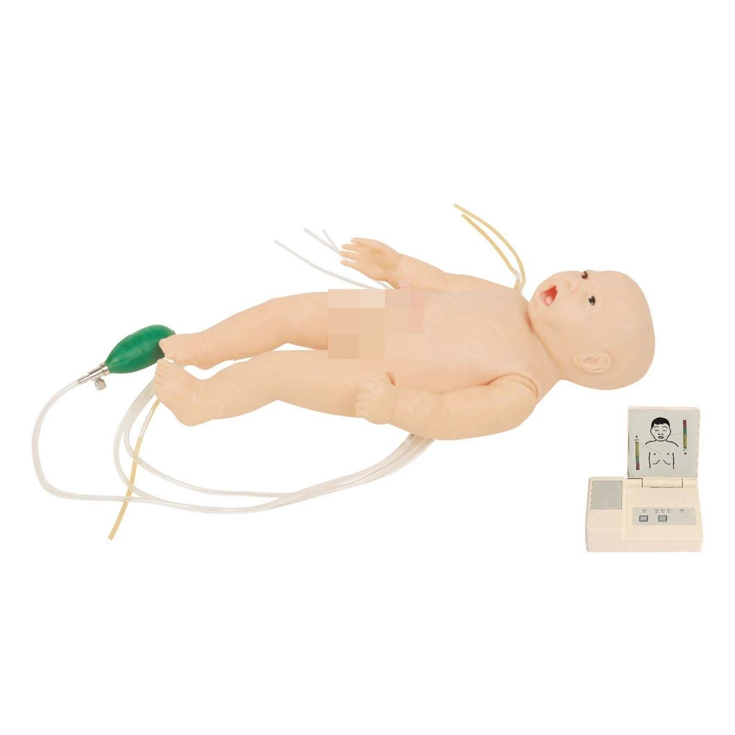 Modelo de capacitación en habilidades de emergencia para el Manikin Infant de Enfermería médica de recién nacidos