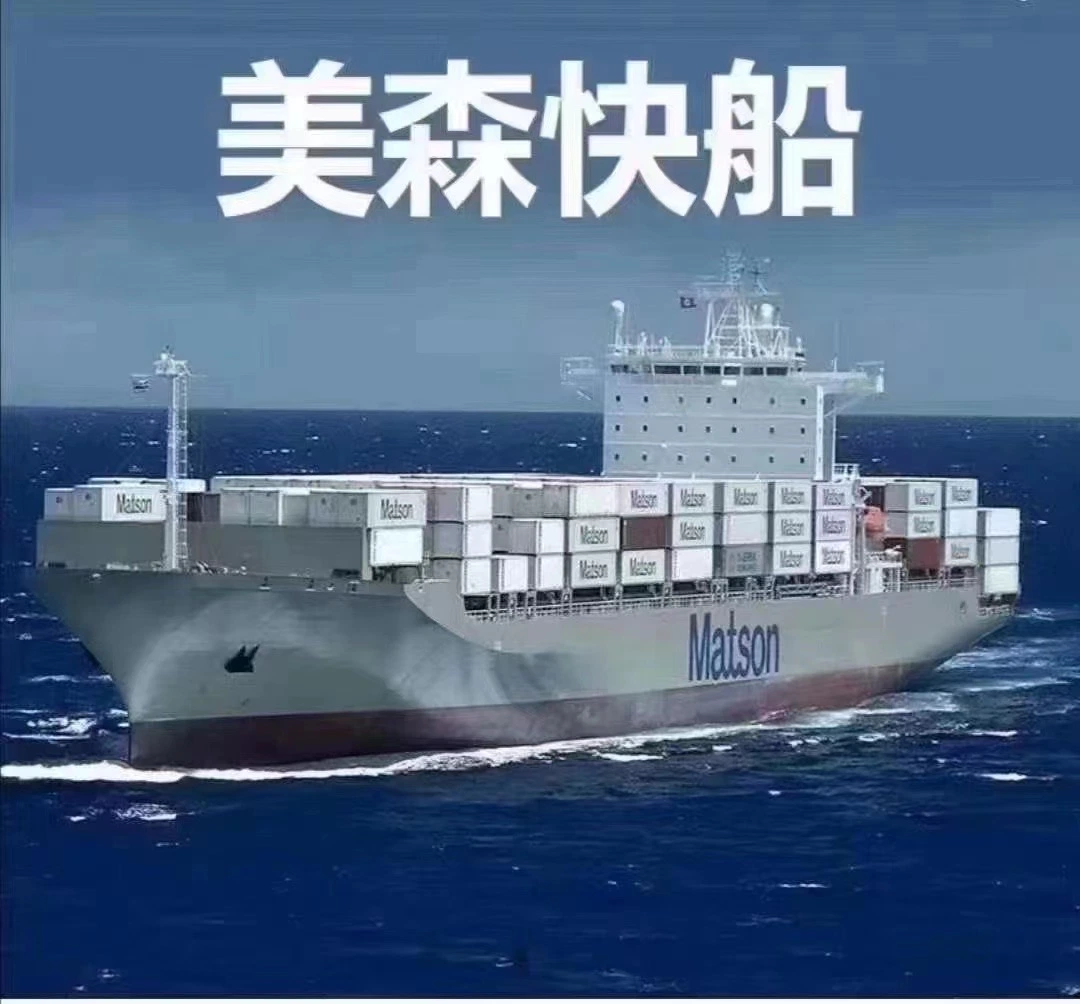 Professional Sea Forwarder Shipping Agent/Cheap Freight Cost Rates From China to Algeria