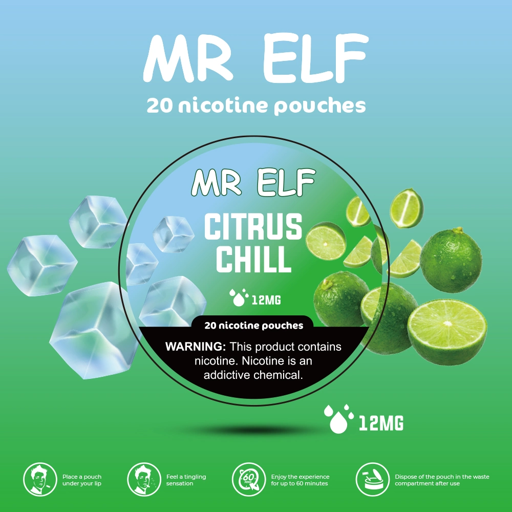 Meilleures ventes de tabac sans nicotine Pouch 12mg MR Elf sans fumée Sachets de nicotine Snus 20 paquets vs tabac sans fumée grizzli