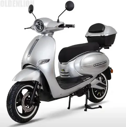 Hot Selling Fashionable Adult Electric Scooter with 2-Wheels