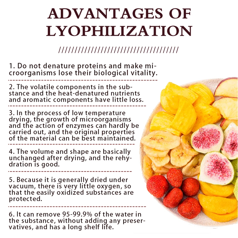 Marcação CE Lyophilizer alimentar à base de Frutas e Produtos Hortícolas congelamento a vácuo máquina de secagem