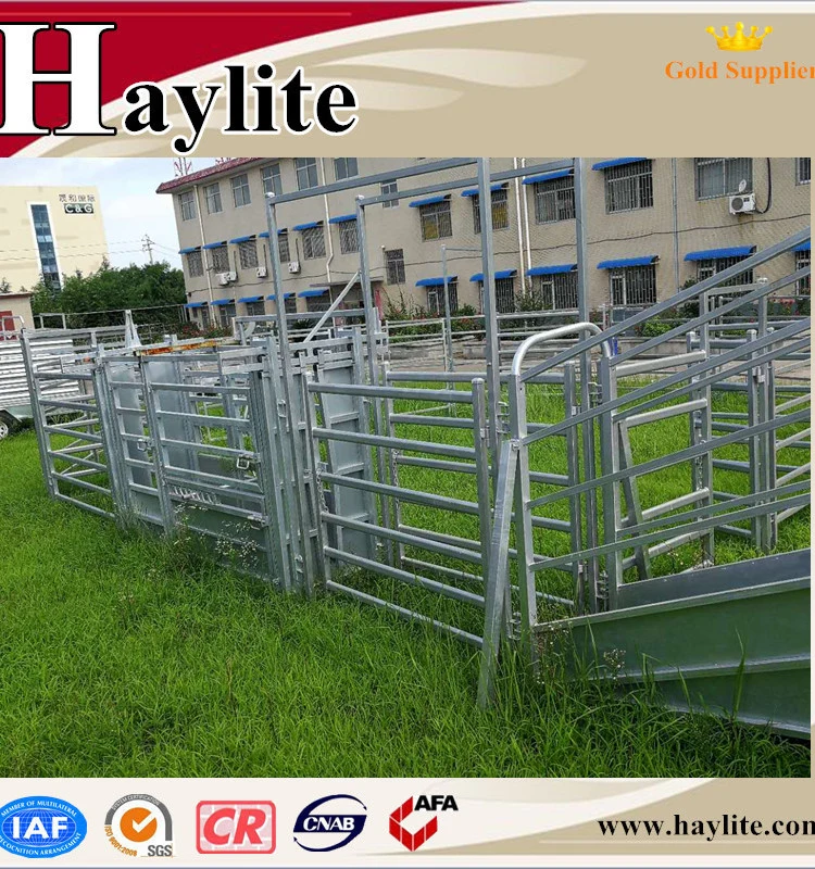 Australia Standard Cattle Panel Crush Loading Ramp Cattle Yard