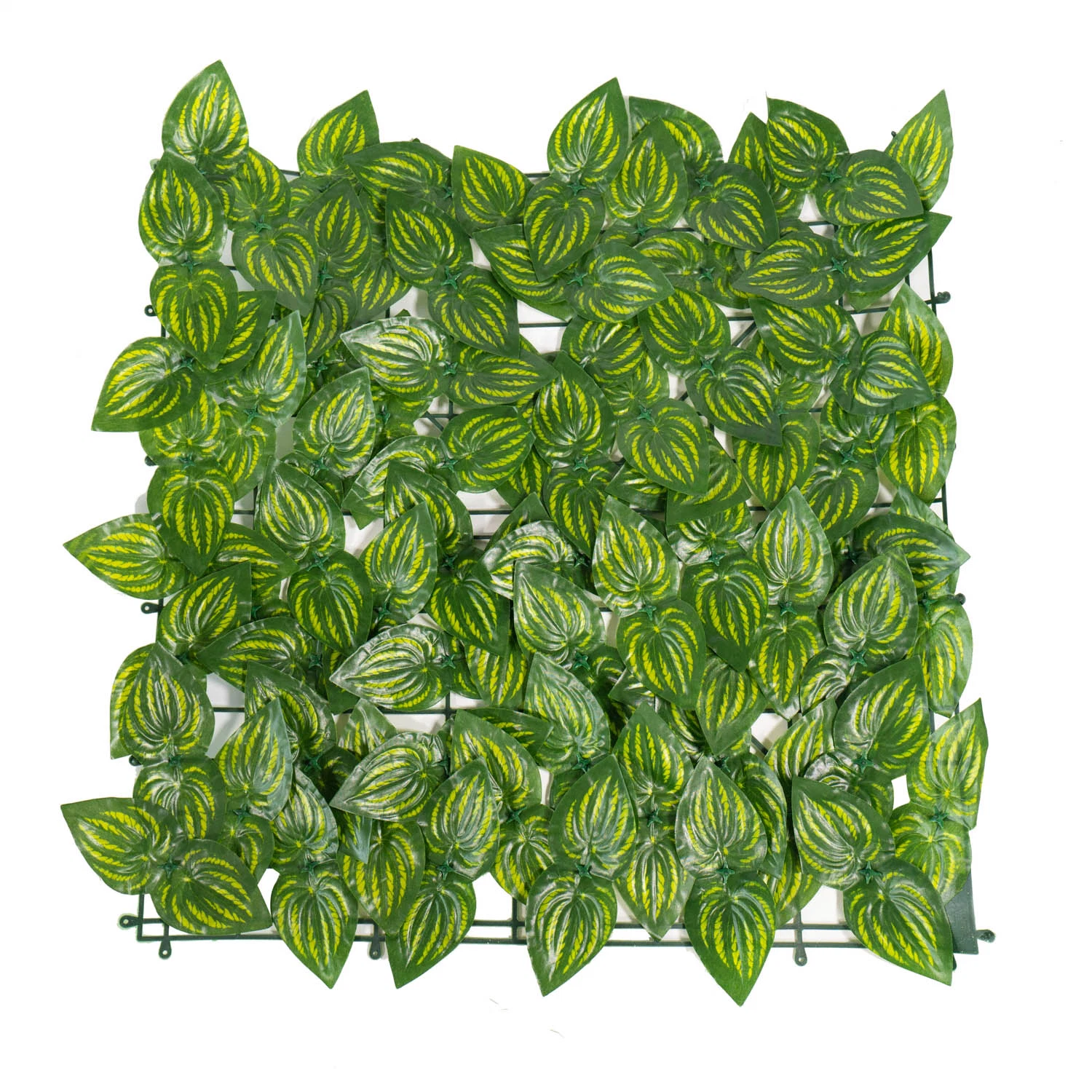 Factory Wholesale/Supplier Wall Plant Panel Plastic Artificial Leaves Fence