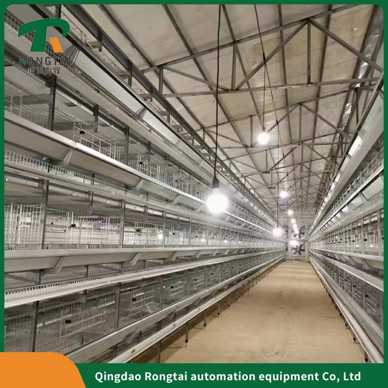 Automatic Battery ISO, Soncap H Type 4 Tiers Bird-Harvesting Broiler Raising Cage for Layer Chicken Raising Poultry Farm/Farming Equipment