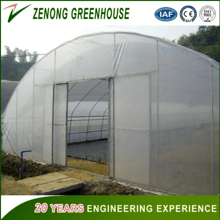 High quality/High cost performance  UV Treated Plastic Film Greenhouse for Agriculture Cultivation/Hydroponics/Growing Vegetables/Fruits/Flowers