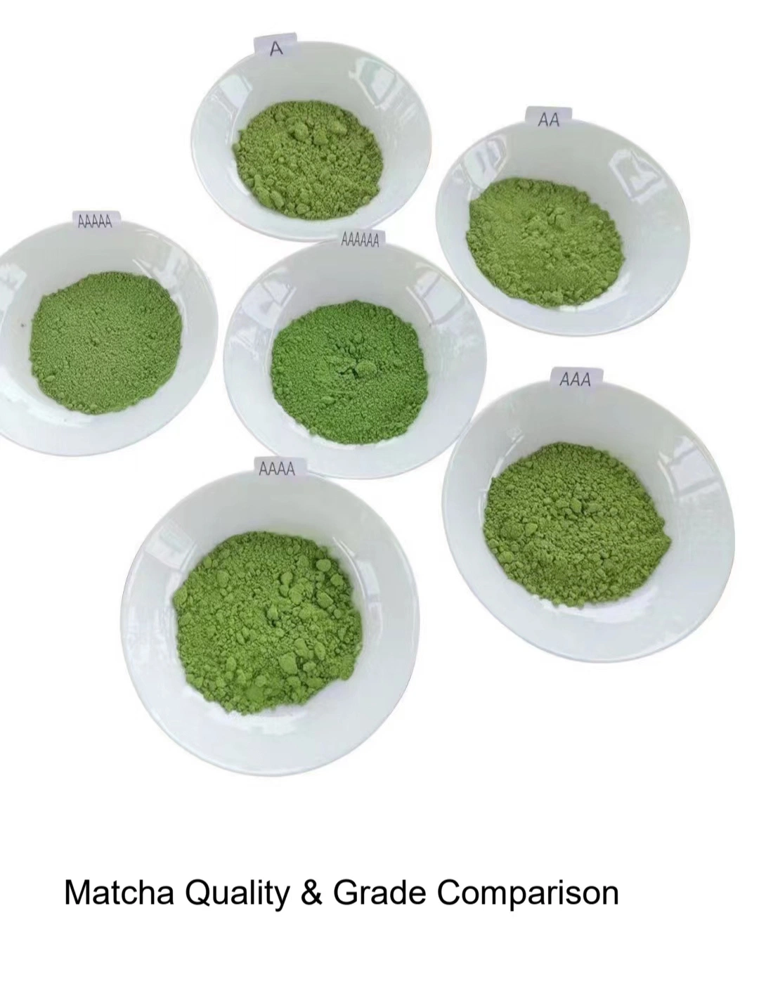 Top calidad 100% puro té Verde Matcha UE Matcha Polvo