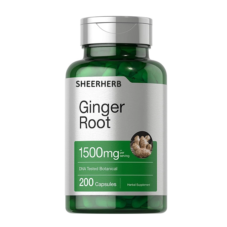 Alimentación Fruiterco Extracto de Raíz de jengibre en polvo Gingerol un 5% de extracto de jengibre