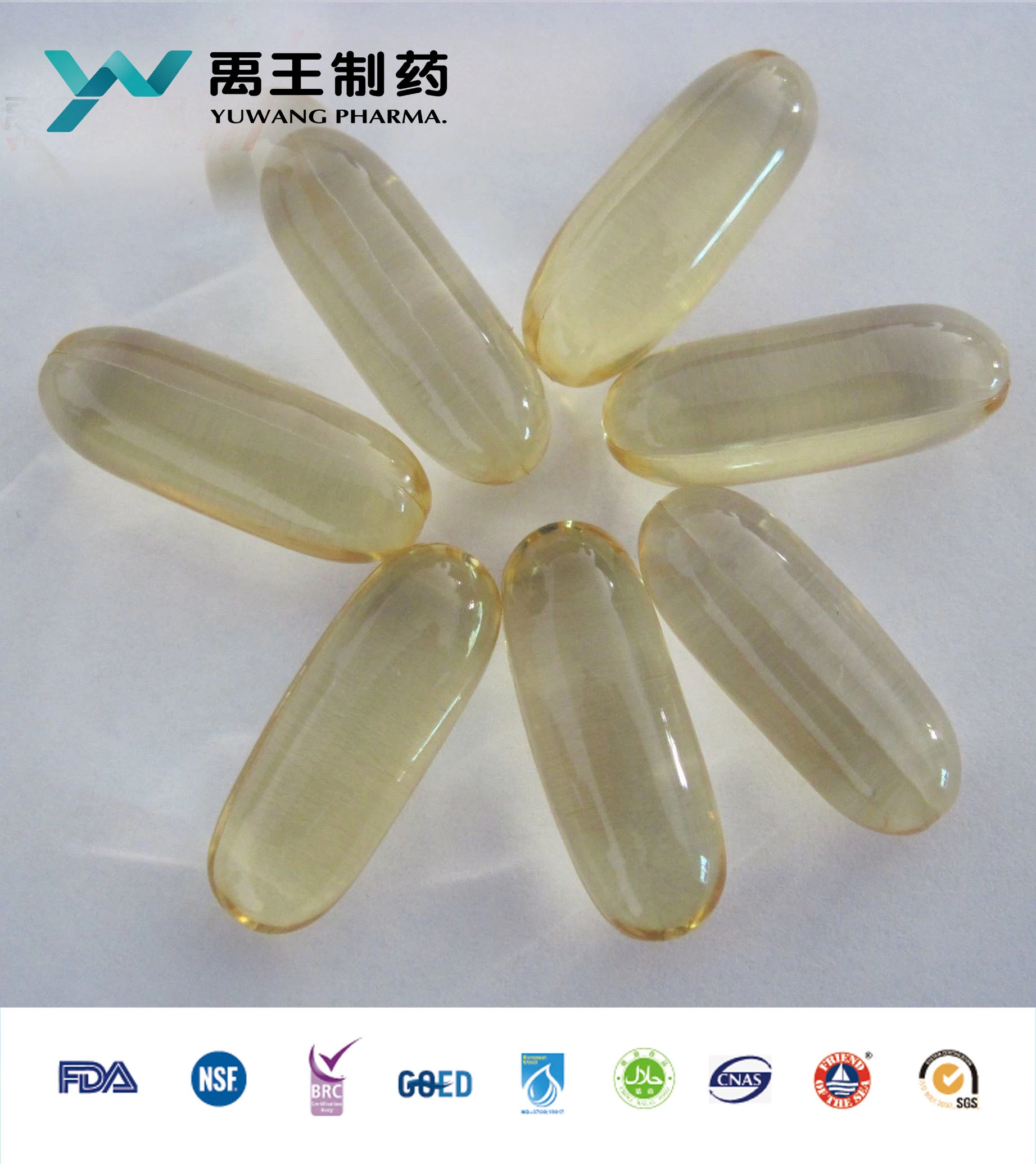 GMP/ OEM Perfect Fish Oil proportion différente EPA et DHA Contenu divers supplément nutritionnel capsules souples Twist-Off