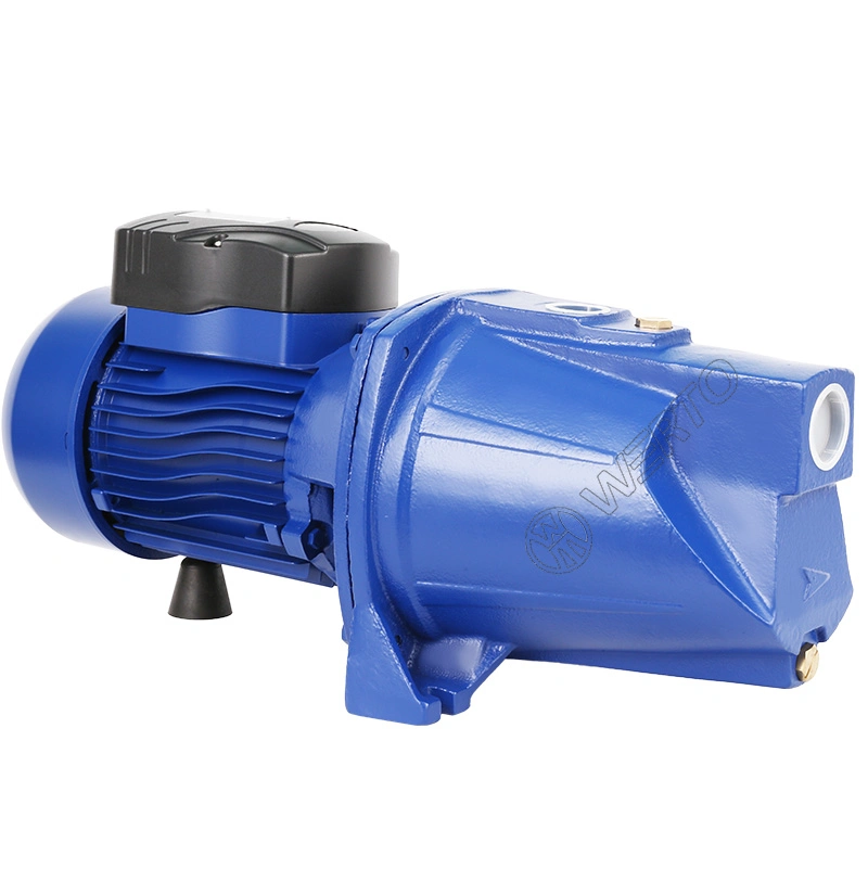 Werto Jsw/3bl 1.5kw 2HP 1.25"&times; 1" Inch Self-Priming Jet Clean Water Pump Domestic Use & Garden Irrigation