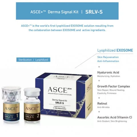 Korea Asce Srlv-S Exosome Freeze-Dried Powder 20mg+ Essence 5ml Ha Acne Inflammation Skin Regeneration Anti-Wrinkle Anti-Aging Anti-Inflammatory Anti-Allergic