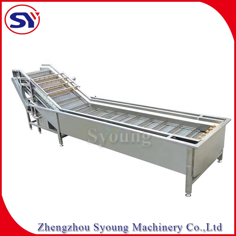 High Pressure Spraying Fruit Water Bubble Washer China Supplier