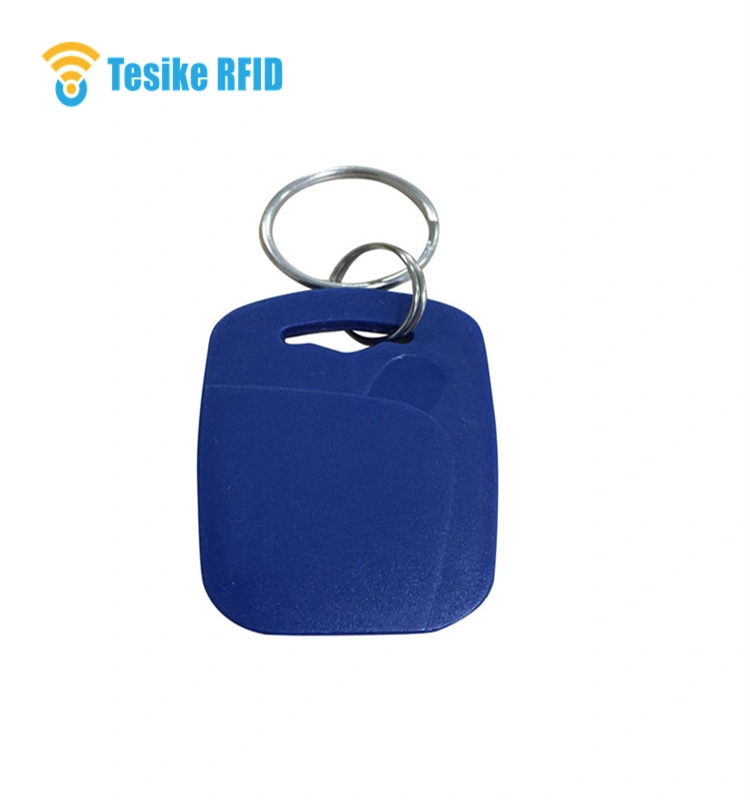 125kHz Lf RFID Key Fob Tag with Tk4100 T5577 with Logo Printing