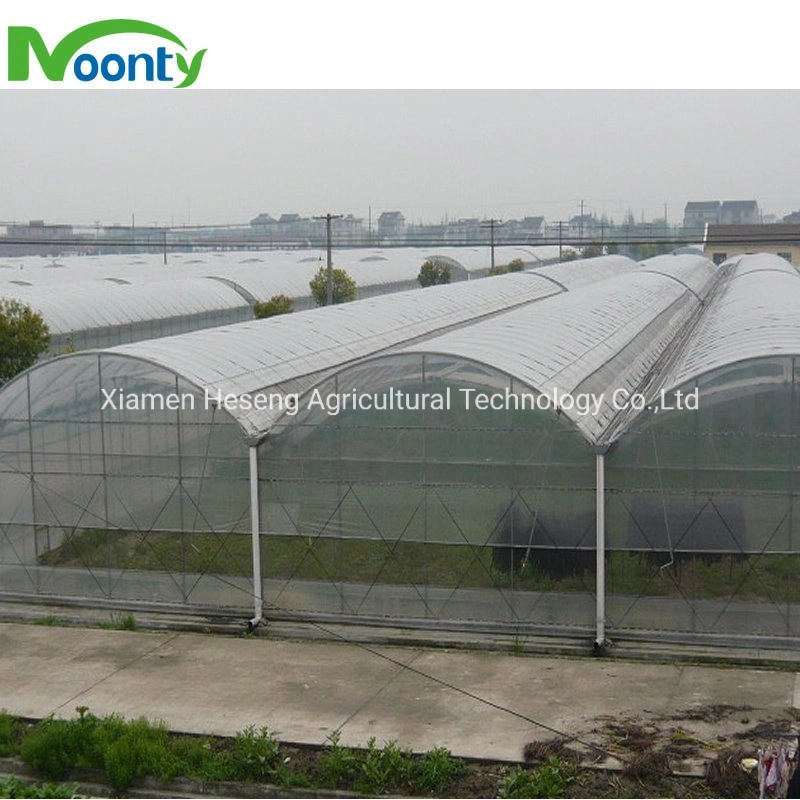 Best Single Tunnel/ Multi Spans Polyhouse Agricultural PE Film Greenhouse with Shading System/ Irrigation System/ Fertilization System