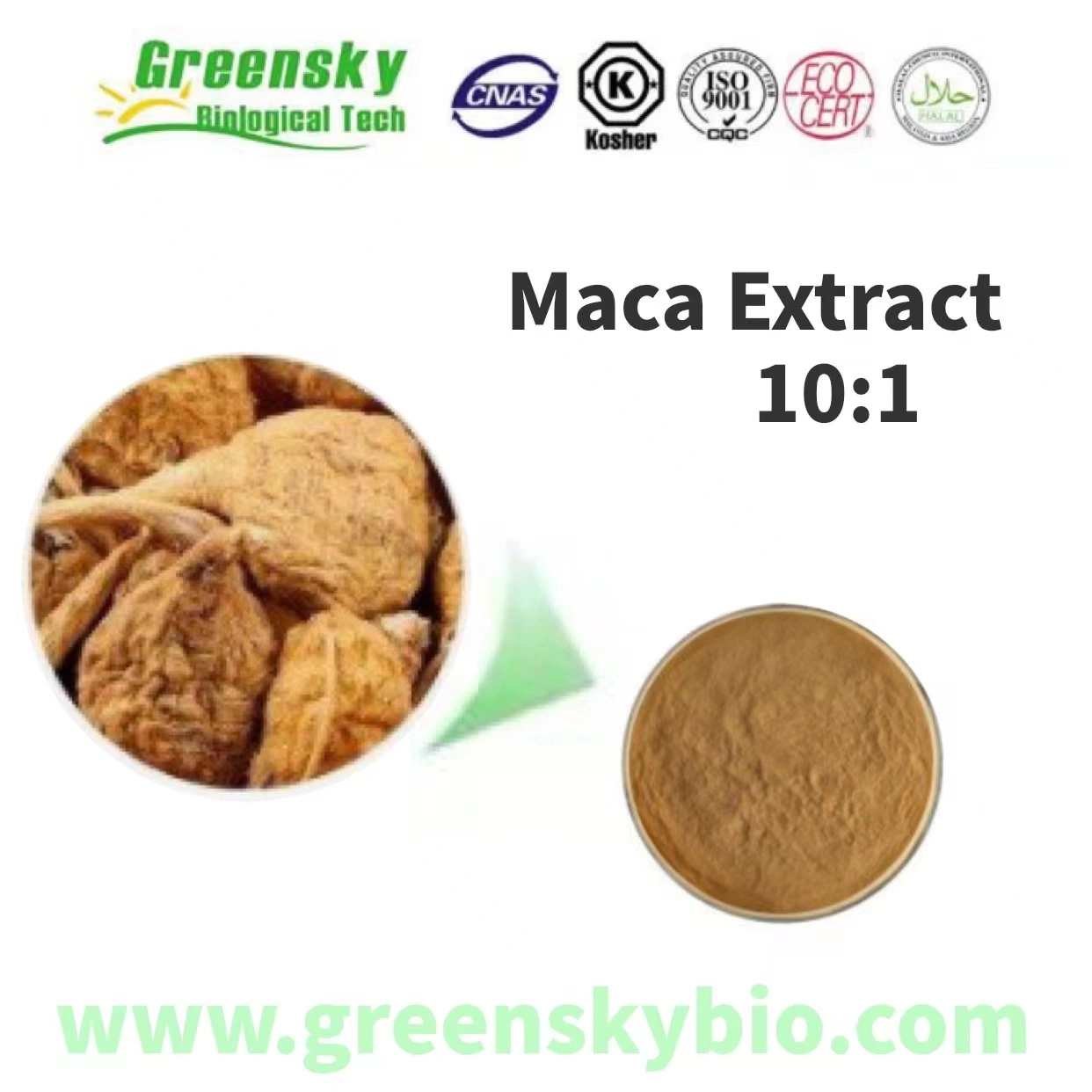 Extracto de plantas de alta calidad Maca Extracto 10: 1 Tongkat Ali Longjack polvo amarillo marrón para los hombres la atención de salud