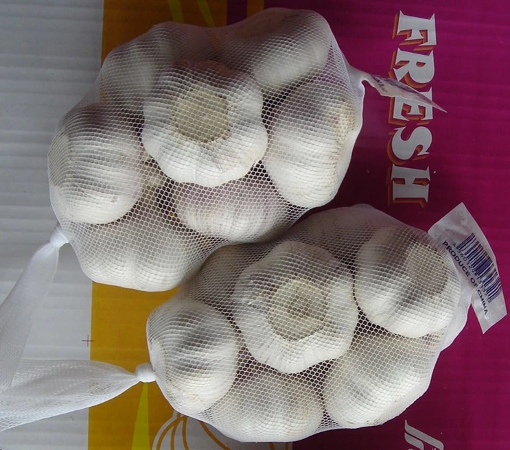 Jinxiang New Crop White Garlic /Fresh Clean Chinese Garlic