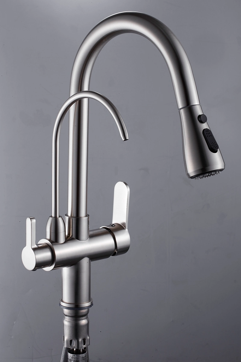 Kitchen Faucet with Water Purifier