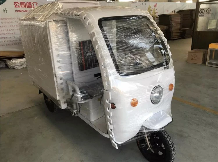 Günstige frische Verteilung elektrische Dreiräder mit Mini Kühlschrank kalt isoliert