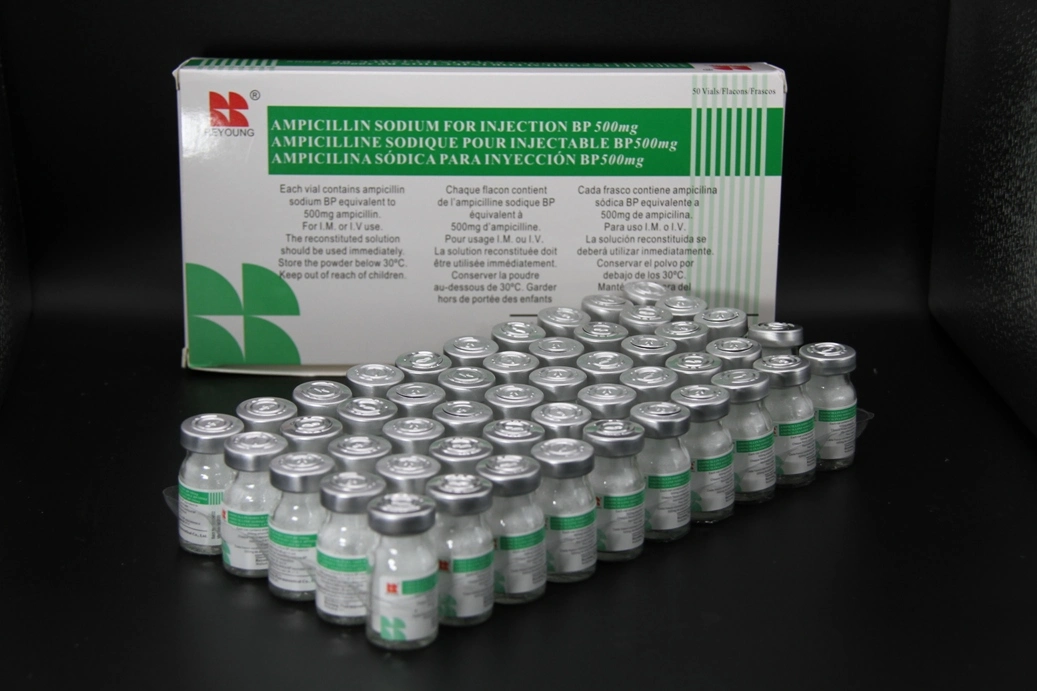 GMP Certified Ampicillin Sodium for Injection