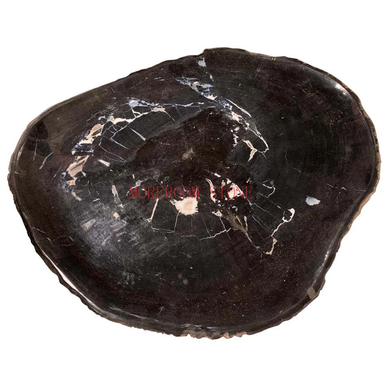 Gemstone Black Petrified Wood Slab