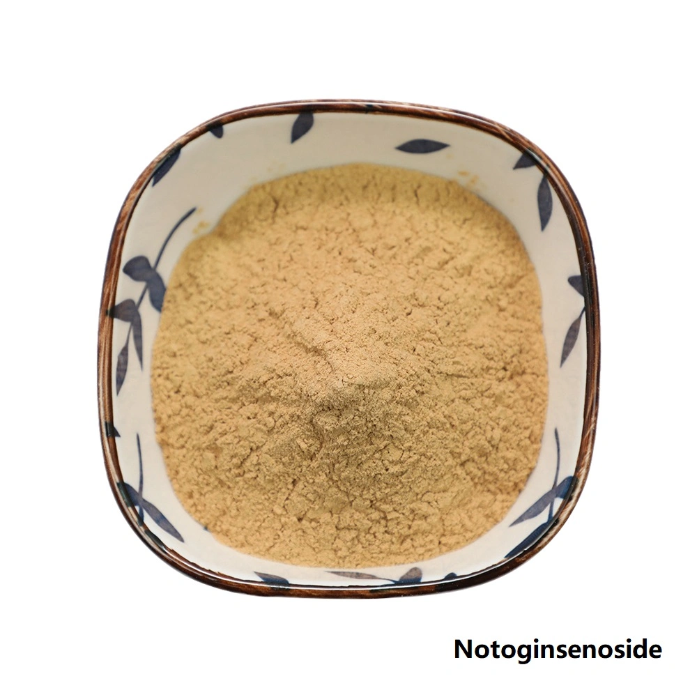 Health Medical Radix Notoginseng Extract Notoginsenoside 5% - 40% HPLC