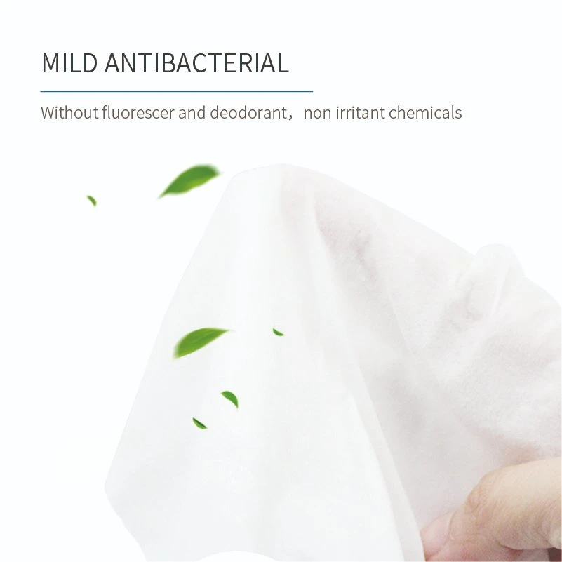 Palmbaby New Medicla Wet Wipes New Packaged Design for Adult Protection