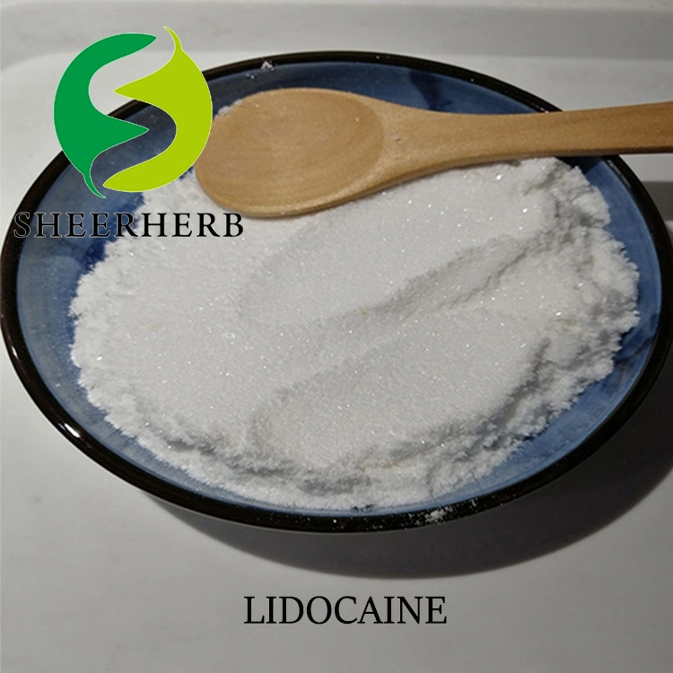 Suministro de fábrica Lidocaine polvo Precio barato Lidocaine CAS 137-58-6 Lidocaine Polvo