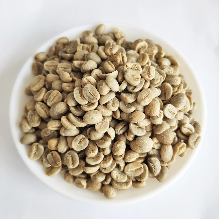 Export High quality/High cost performance Arabica Green Coffee Beans