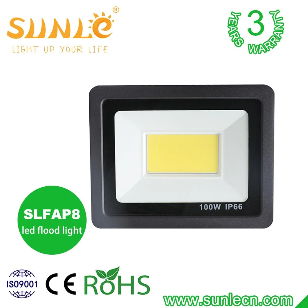 Basic Customization Outdoor LED Lighting Waterproof Floodlight 10W 20W 30W 50W 80W 100W 150W 200W 300W 400W COB SMD LED Flood Light