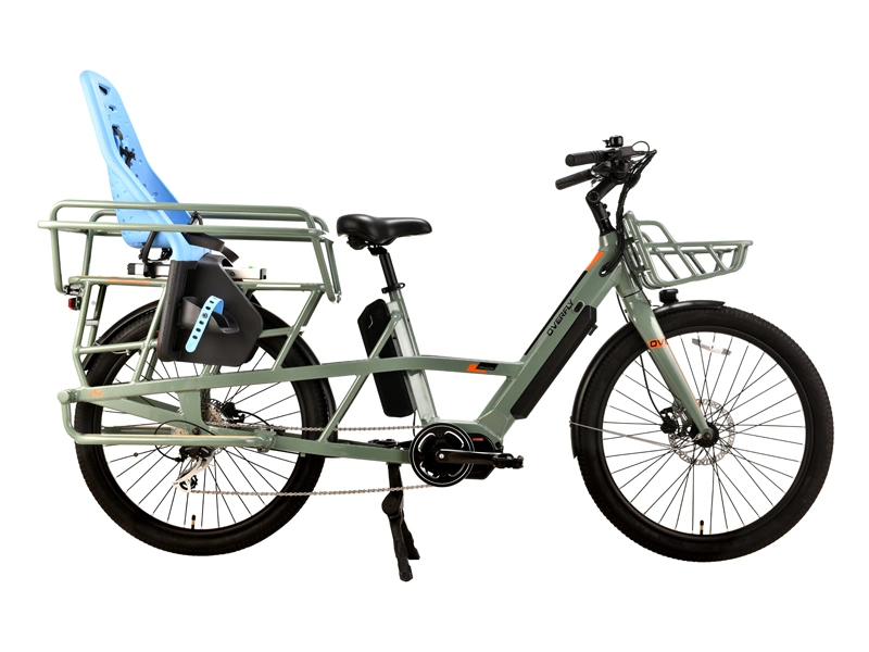 Electric Motorcycle Bike Cargo Two Wheels Electric Cargo for Passanger 2wheels Family Long Tail Electric Cargo Bike