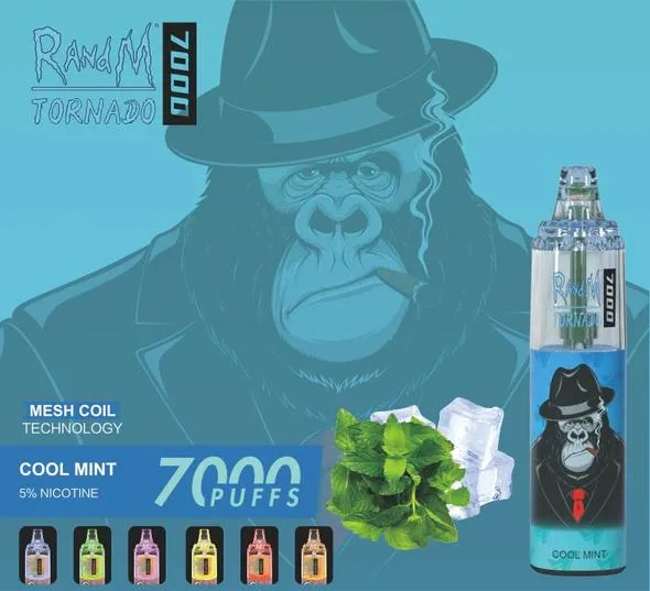 Fabrik Promotion Preis 6 Farben RGB Licht Randm Tornado 7000 Puffs Großhandel/Lieferant Vape Pen