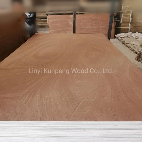 High quality/High cost performance  Commercial Plywood Bintangor/Okoume/Birch/Pine Faced Plywood