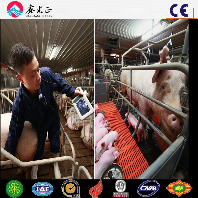 Automatic Pig Farming Feeder System for Pig House